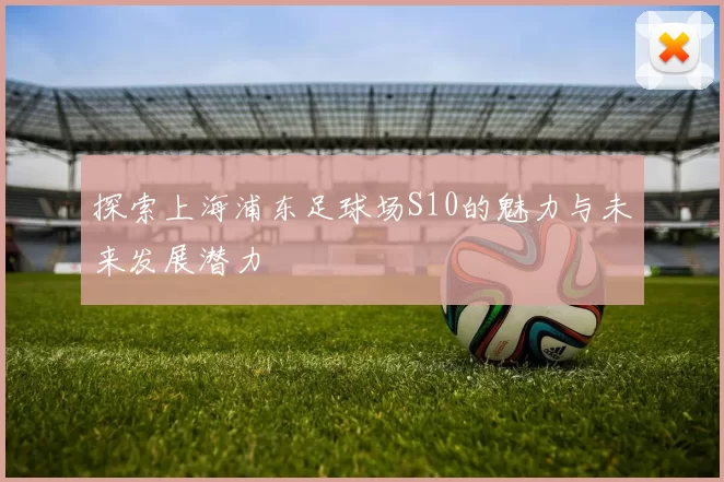 探索上海浦东足球场S10的魅力与未来发展潜力