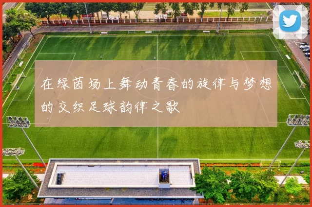 在绿茵场上舞动青春的旋律与梦想的交织足球韵律之歌