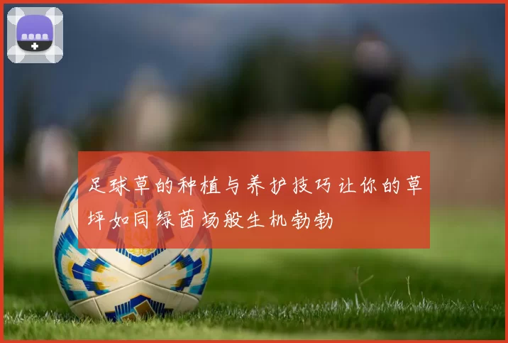 足球草的种植与养护技巧让你的草坪如同绿茵场般生机勃勃