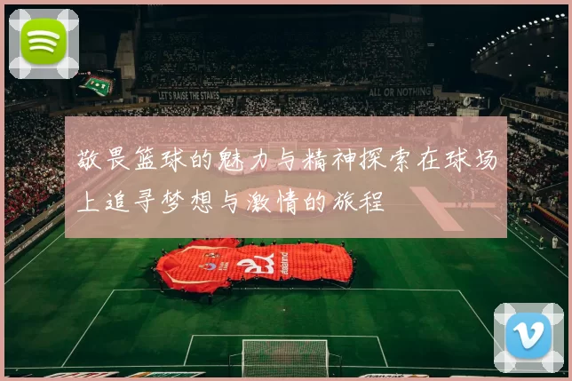 敬畏篮球的魅力与精神探索在球场上追寻梦想与激情的旅程